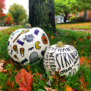 Fundraising Page: Jess Telmanik